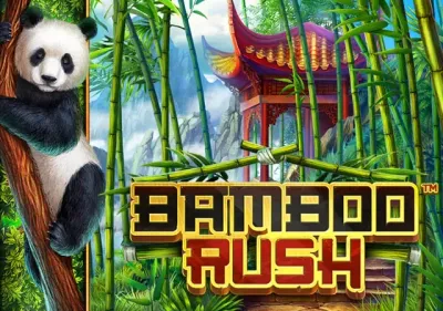 Bamboo Rush icon